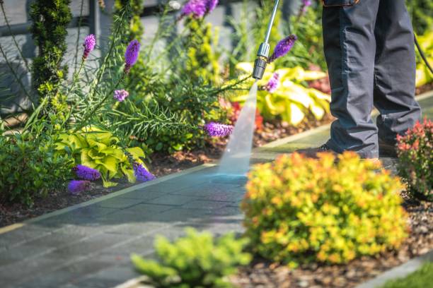 Best Patio and Deck Pressure Washing  in Poquoson, VA